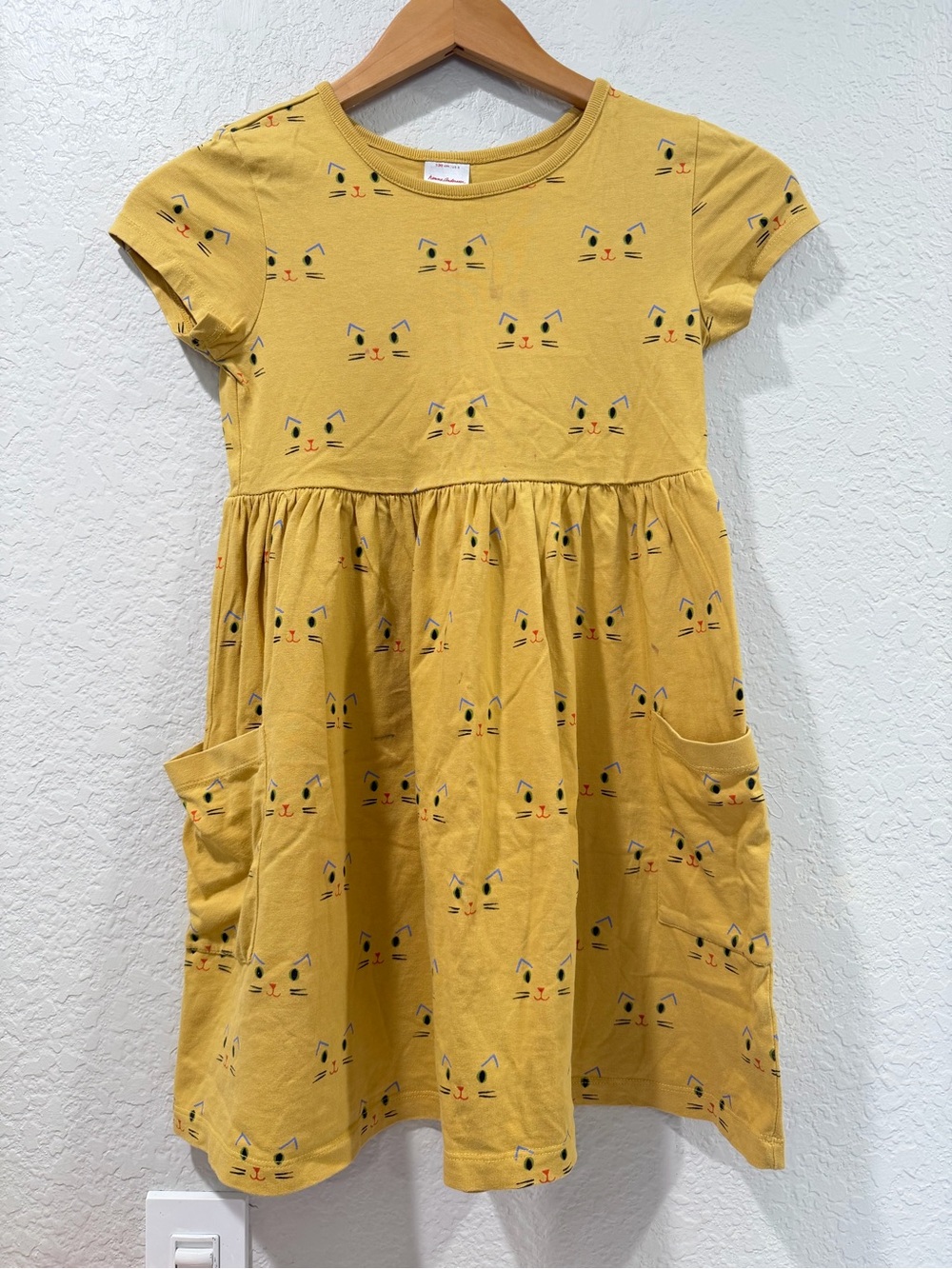 Hanna Andersson PLAY Playground Dress with pockets Cat Face on Fall Leaf Size 8